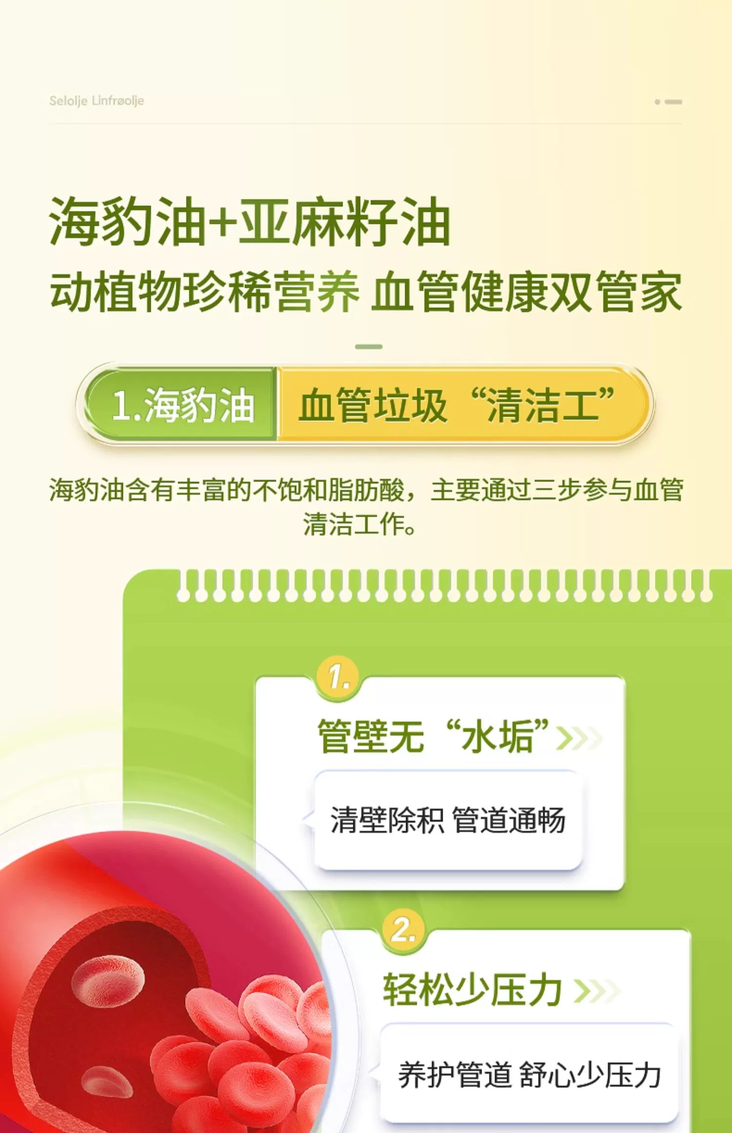 17374286768418568.webp